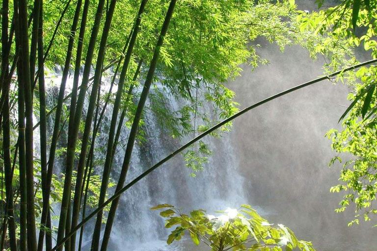 Grand Waterfall in Chishui Bamboo Sea Scenic Area