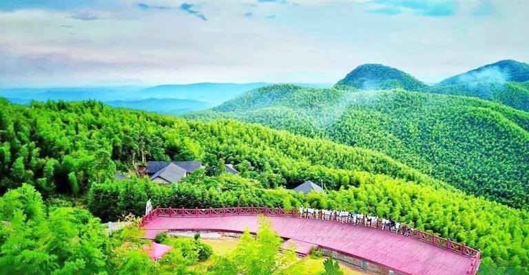 Panoramic View of Shunan Bamboo Forest