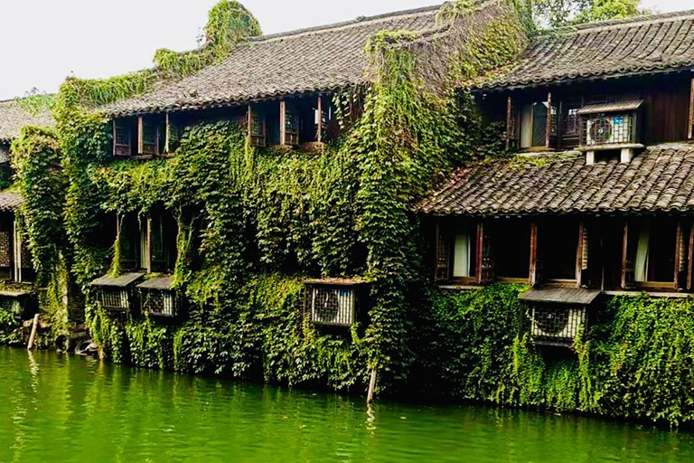 Traditional Houses in Xitang