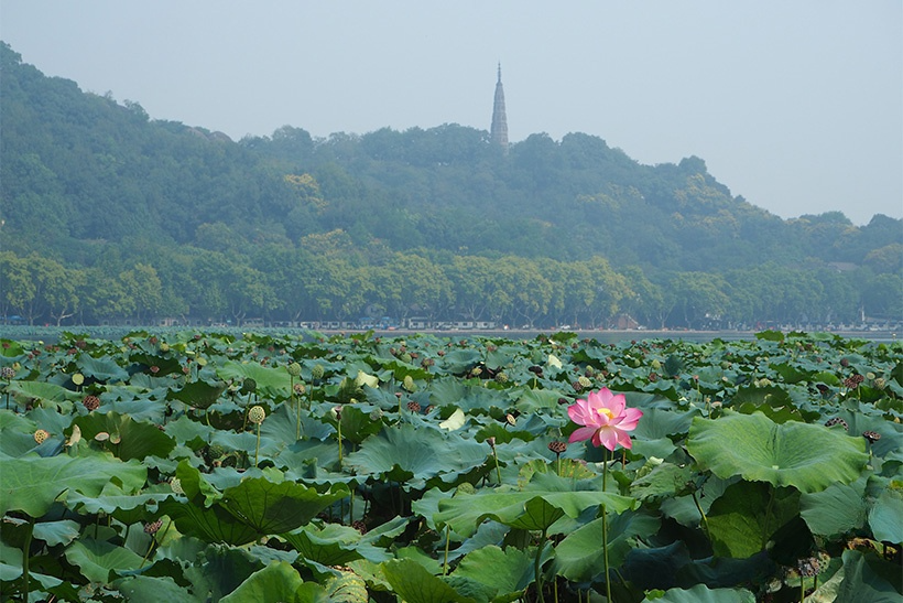 Top 25 China Things to Do 2025