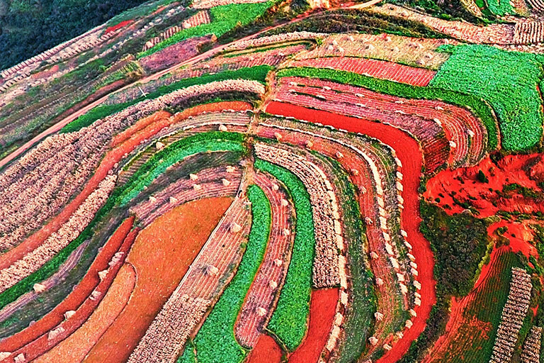 Dongchuan Red Land