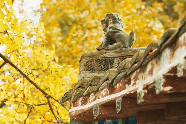 Wenshu Monastery, Chengdu