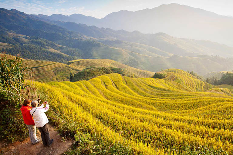 Longji Rice Terraces in September