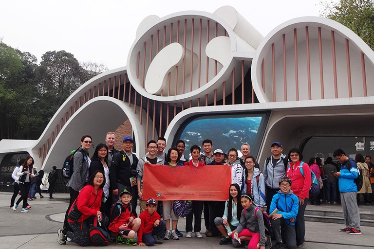 WeTrip Customized Private Tour to Chengdu Panda Base
