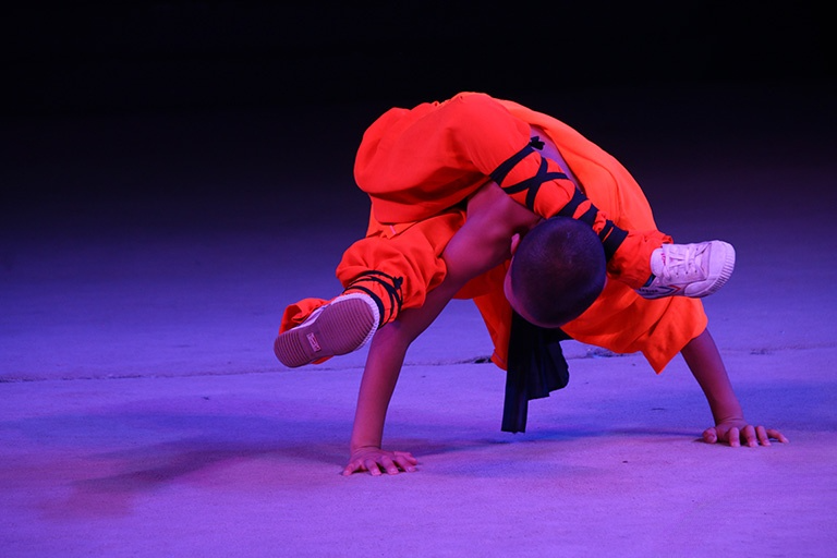 Wonderful Shaolin Kung Fu Show