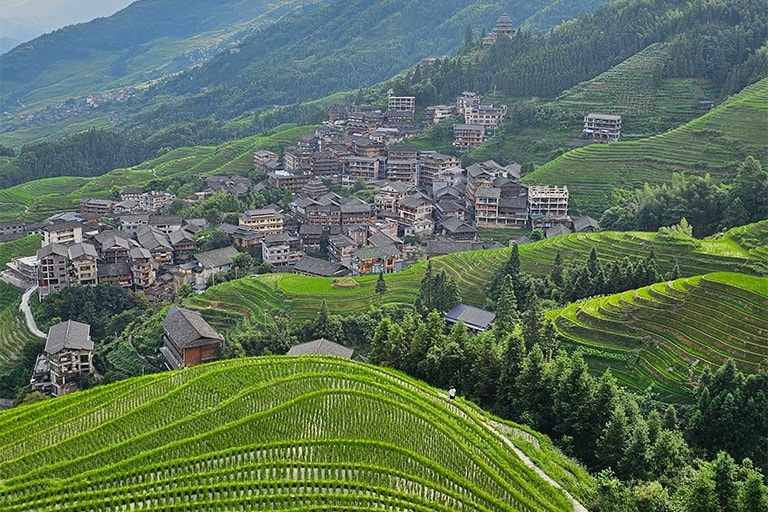 Golden Longji Rice Terrace in Autumn