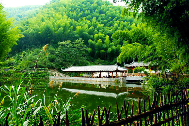 China Bamboo Expo Park in Anji