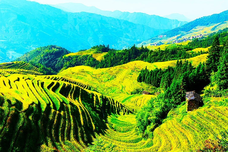 Wonderous Longji Rice Terraces