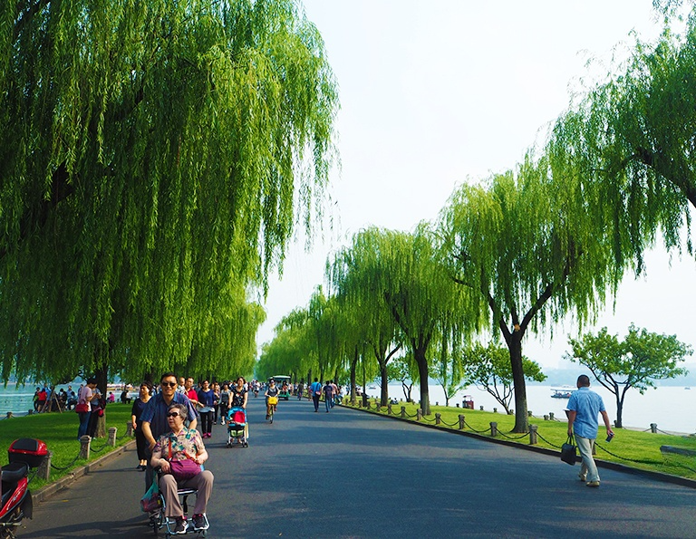 West Lake Biking Experience in Hangzhou