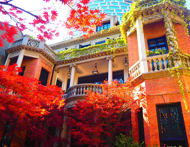 Autumn Scenery in Shanghai