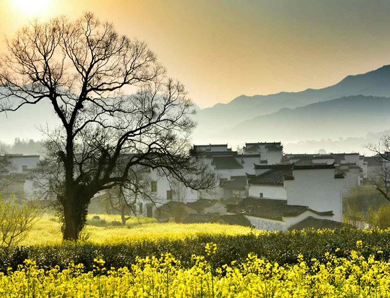 Spring Scene of Ancient Village near Huangshan