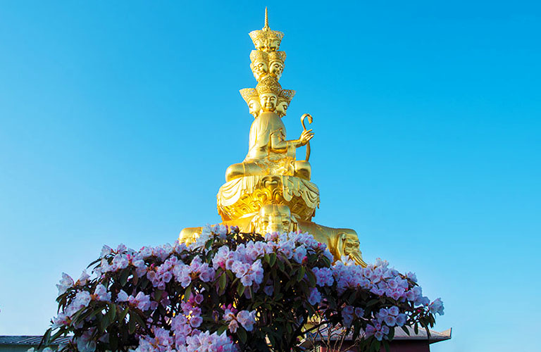 The Golden Summit of Mount Emei During Springtime