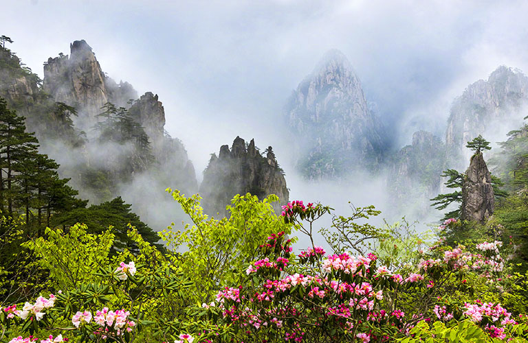 Huangshan in May