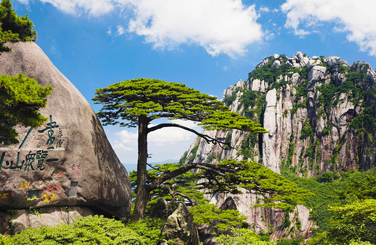 Guest-Greeting Pine of Huangshan