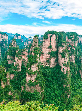 Zhangjiajie Tour