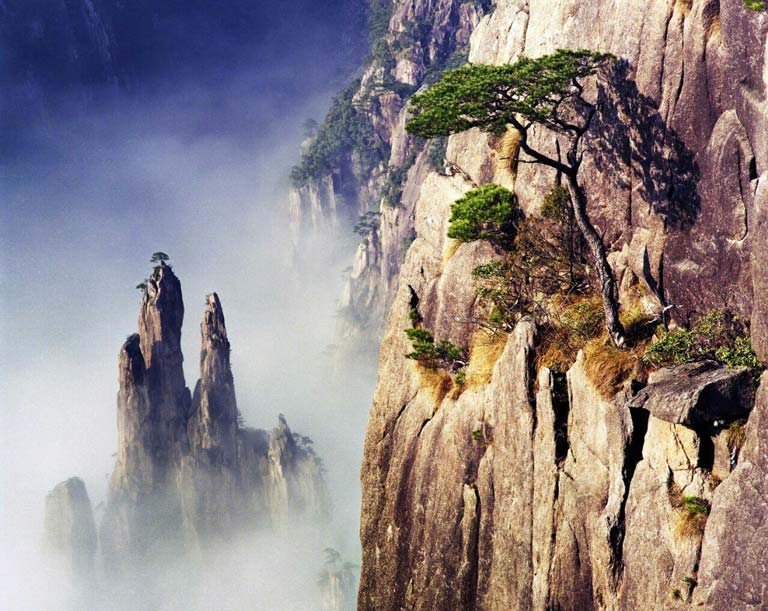 Craggy Rocks under the Summer Light and Shadow