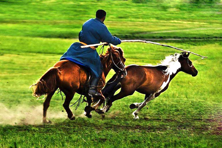 Nadam Fair in Summer