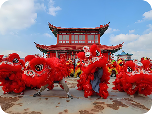 Dragon And Lion Dance