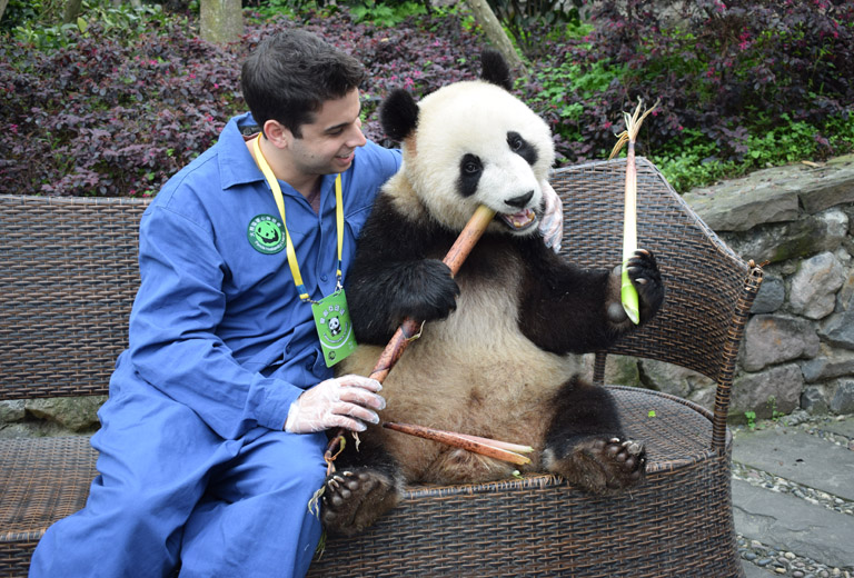 China Tours from Chengdu