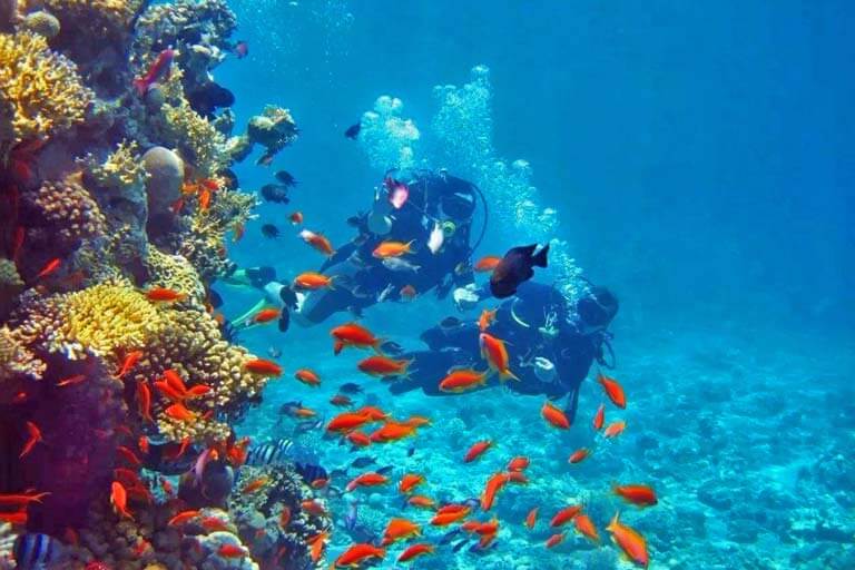 Diving in Wusongzhi Island in January