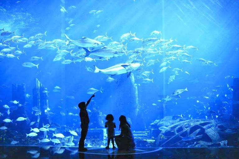 Visit Aquariums in Sanya in January