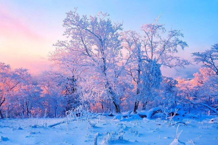 Wusong Island in January