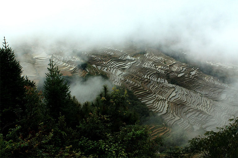 Yuanyang Rice Terraces in Yunnan