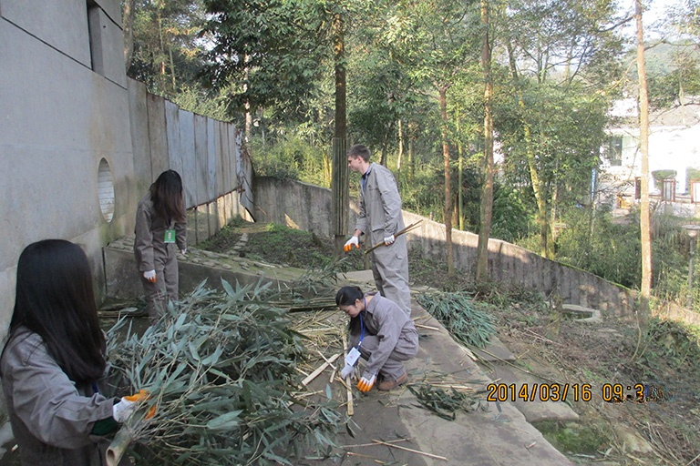 Bifengxia Panda Loving Care